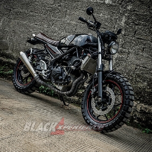 yamaha mt 25 scrambler