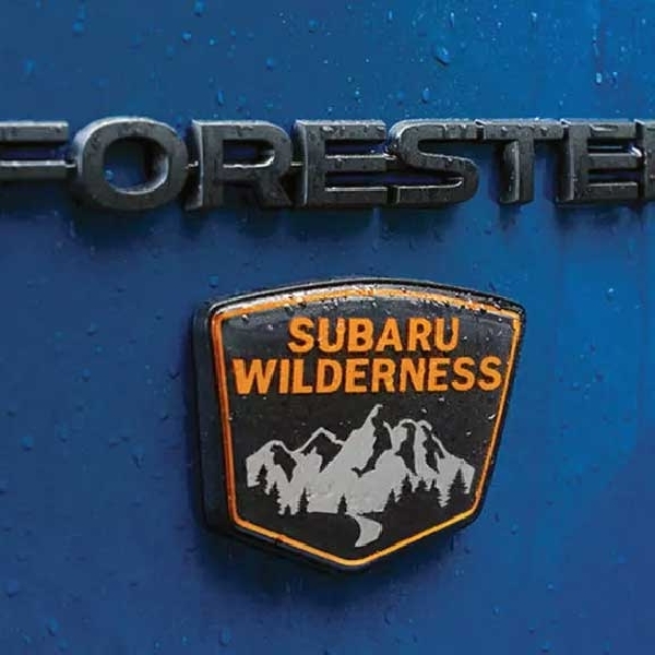 Teaser Subaru Forester Wilderness 2026 Bocor