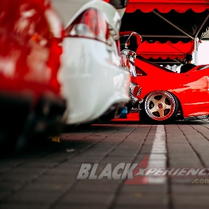 Blackauto Modify @Blackauto Battle Solo 2024