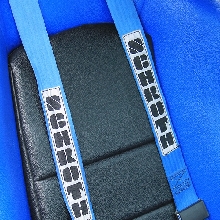 Schroth Seat belt